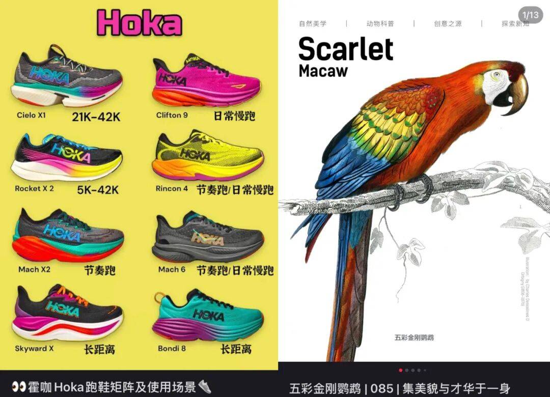 丑鞋HOKA被“牛马们”买爆了Bsport体育最新网址千元(图3)